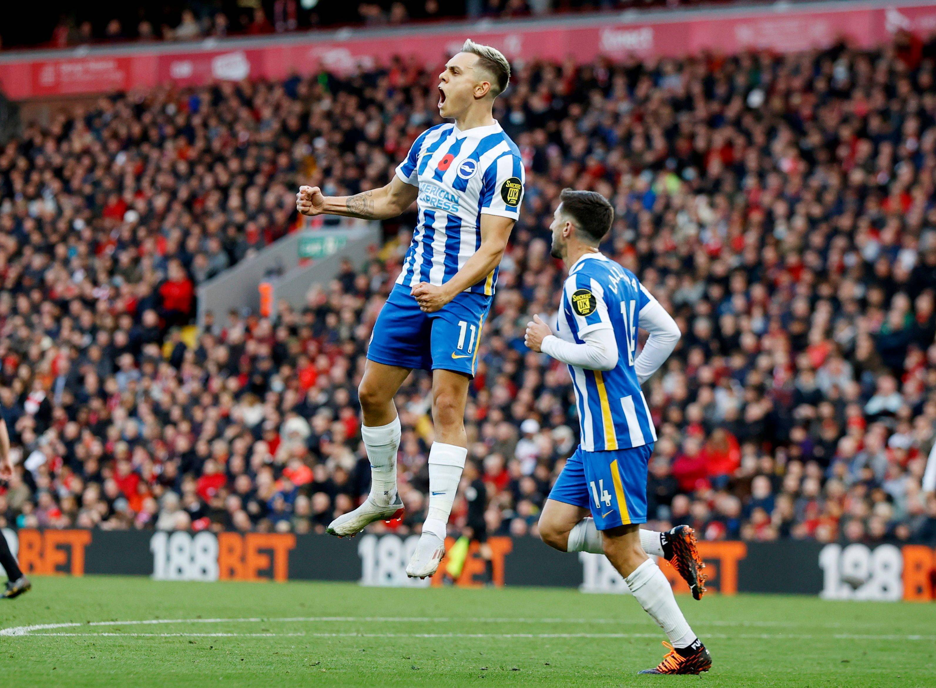 他凭借令人 他凭借令人