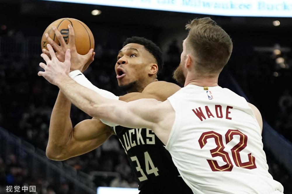 比利时队的 比利时队的